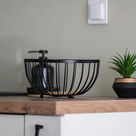 Premium Airport By Renters *