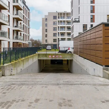 Premium Airport By Renters