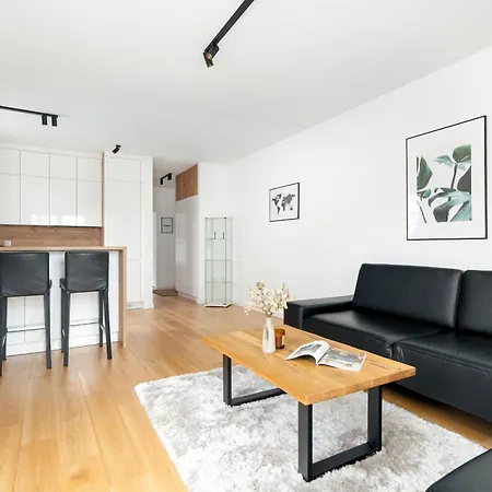 Premium Airport By Renters