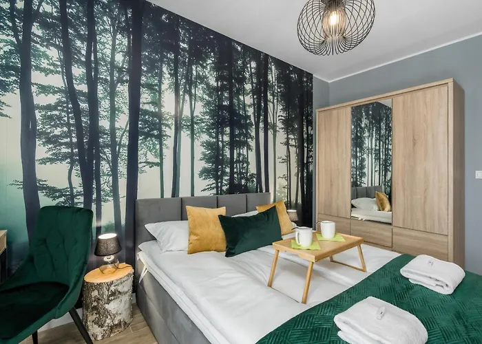 Premium Airport By Renters