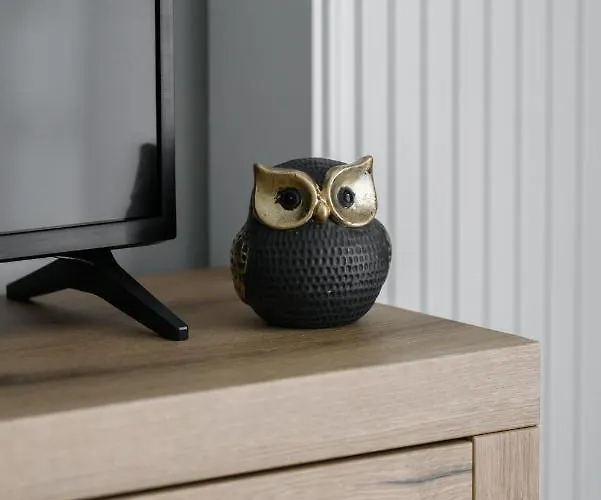 Premium Airport By Renters ポズナン