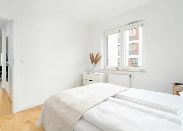 Premium Airport By Renters