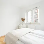 Premium Airport By Renters