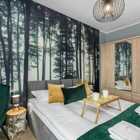 Premium Airport By Renters