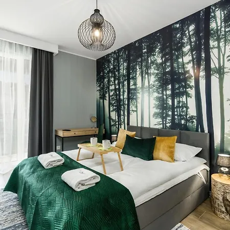 Premium Airport By Renters