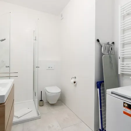 Premium Airport By Renters