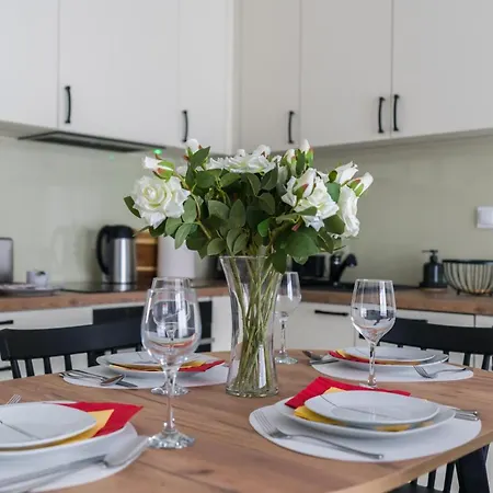 Premium Airport By Renters *