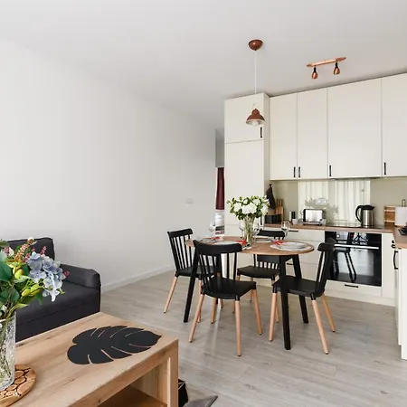 Premium Airport By Renters *