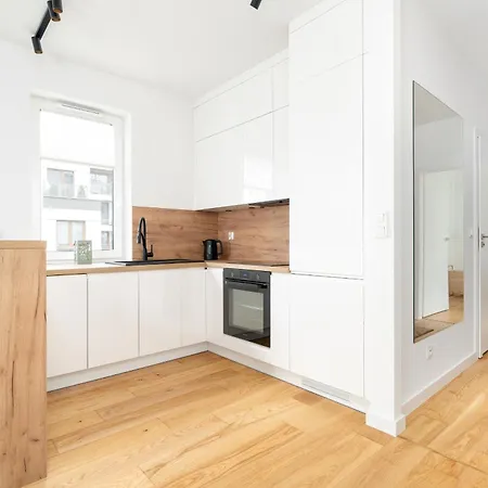 Premium Airport By Renters