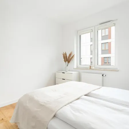 Premium Airport By Renters