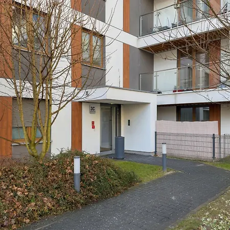 Premium Airport By Renters *