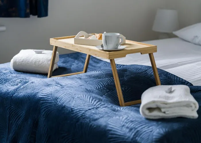 Premium Airport By Renters *