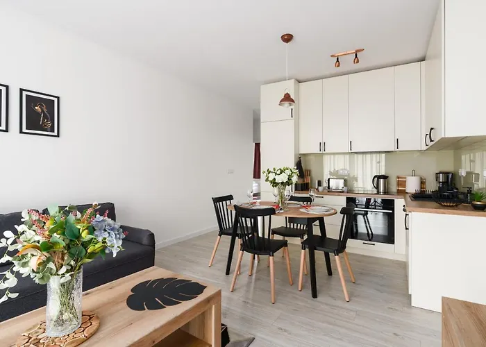 Premium Airport By Renters *