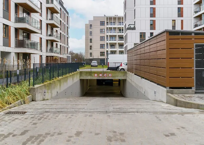 Premium Airport By Renters